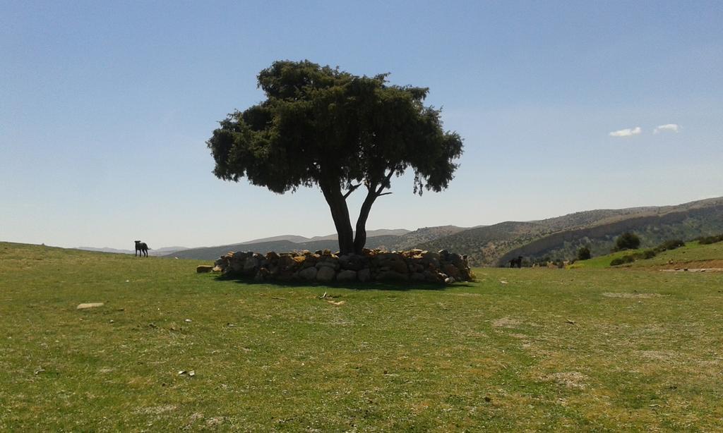 Gite Skoura Caid Bou Malla Extérieur photo